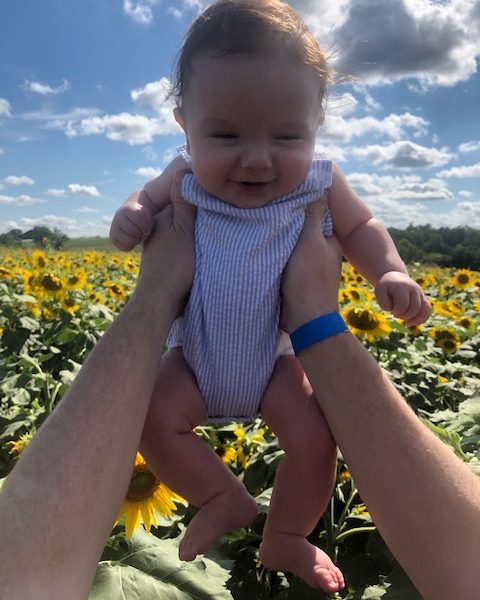 Sunny Day in a Sunflower Field