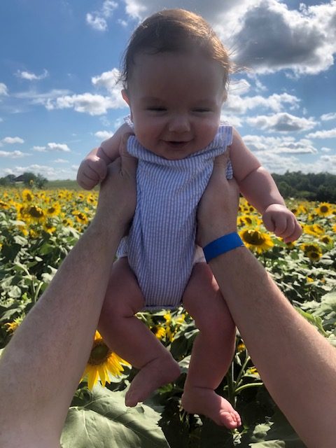 Sunny Day in a Sunflower Field